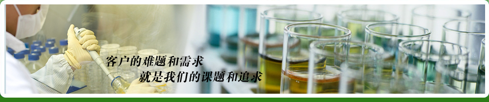技術(shù)&服務(wù)