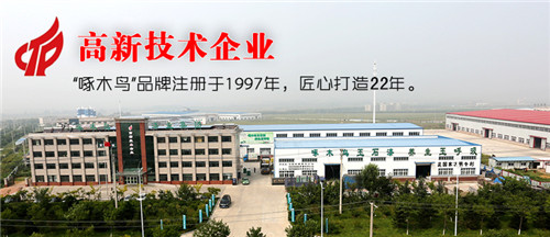 啄木鳥健康漆:始于心,但不止于新