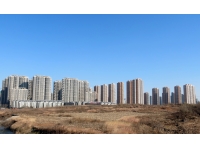 啄木鳥(niǎo)漆外墻工程案例